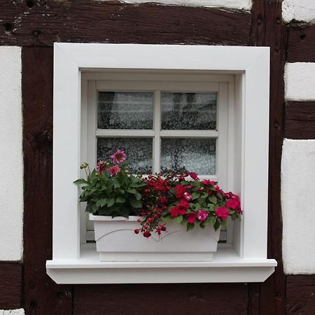 Gemuetliche Fachwerkwohnung Alfter Exterior photo