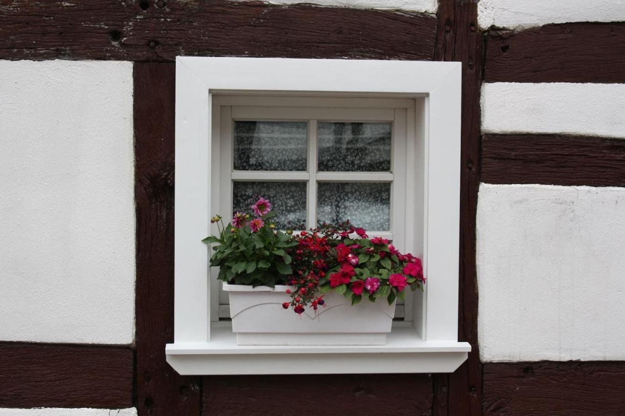 Gemuetliche Fachwerkwohnung Alfter Exterior photo